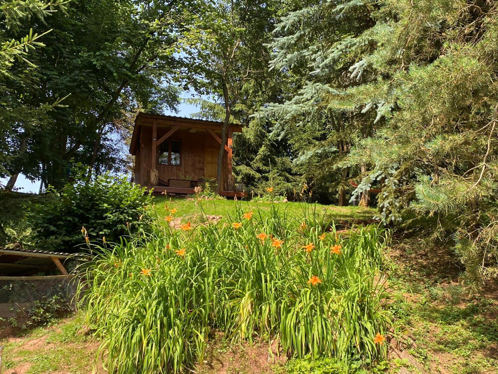 Tiny Resort Chotevice 1 Kottwitz Exterior foto